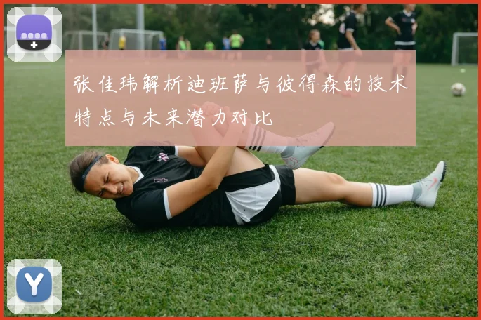 张佳玮解析迪班萨与彼得森的技术特点与未来潜力对比